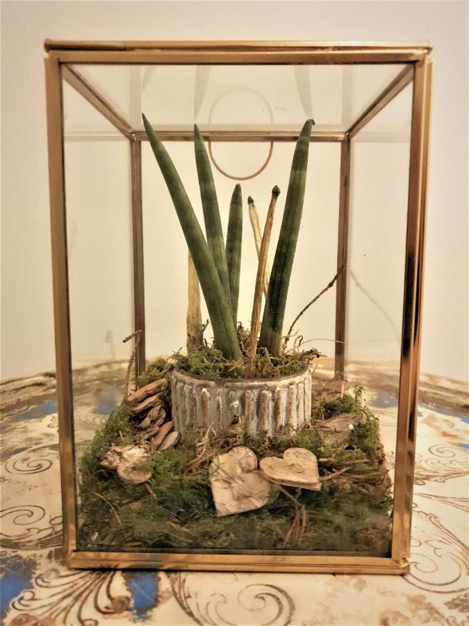 Castle Rooms براتو المظهر الخارجي الصورة
