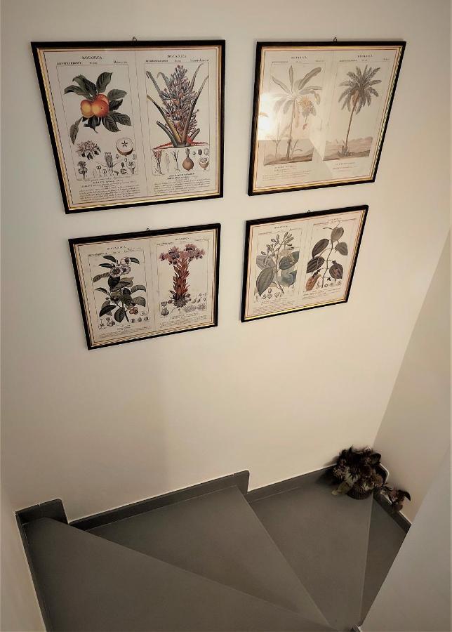 Castle Rooms براتو المظهر الخارجي الصورة